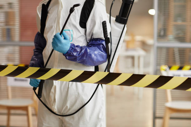 Professional Sewage Cleanup technician working in Algoma, WI